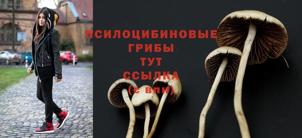 дмт Михайловск
