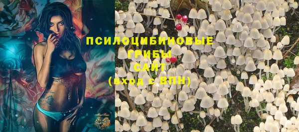 дмт Михайловск