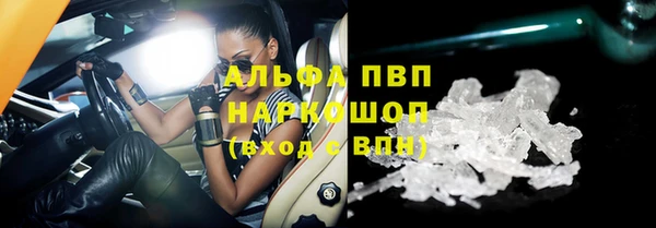 шишки Чекалин