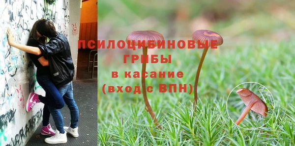 мяу мяу мука Михайловка