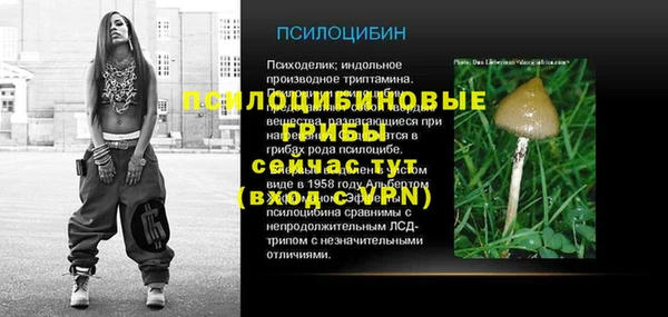 дмт Михайловск