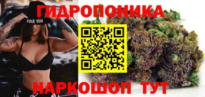 сатива Волгодонск