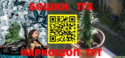 дживик Можга
