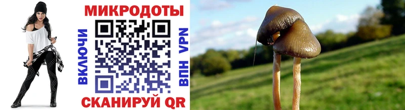 omg рабочий сайт  Хабаровск  Галлюциногенные грибы мухоморы 